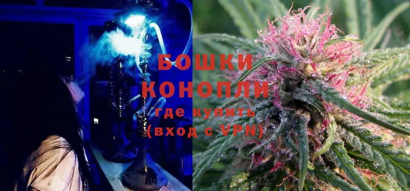 kraken вход  Зеленогорск  Бошки Шишки SATIVA & INDICA 